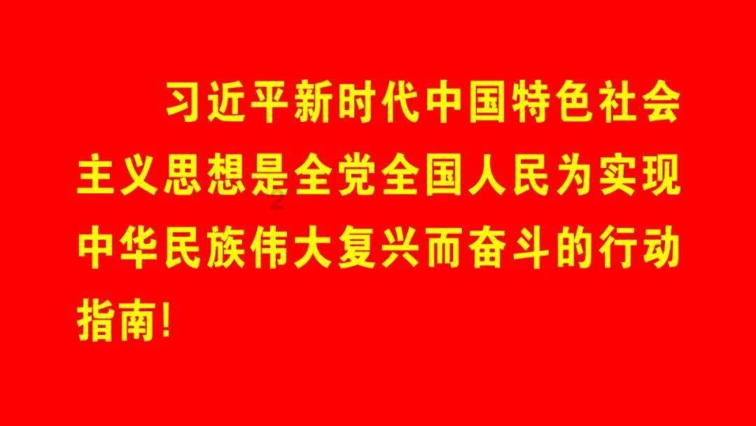 无忧国际wy6999